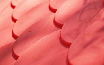 Camelon plastic roof costs