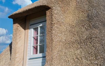 Camelon thatch roof disadvantages